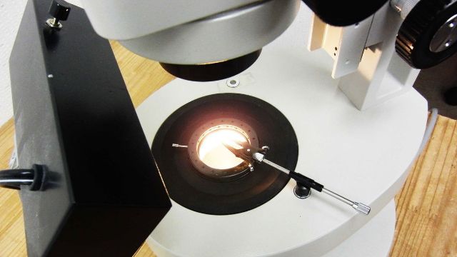鑑定 ブランド品